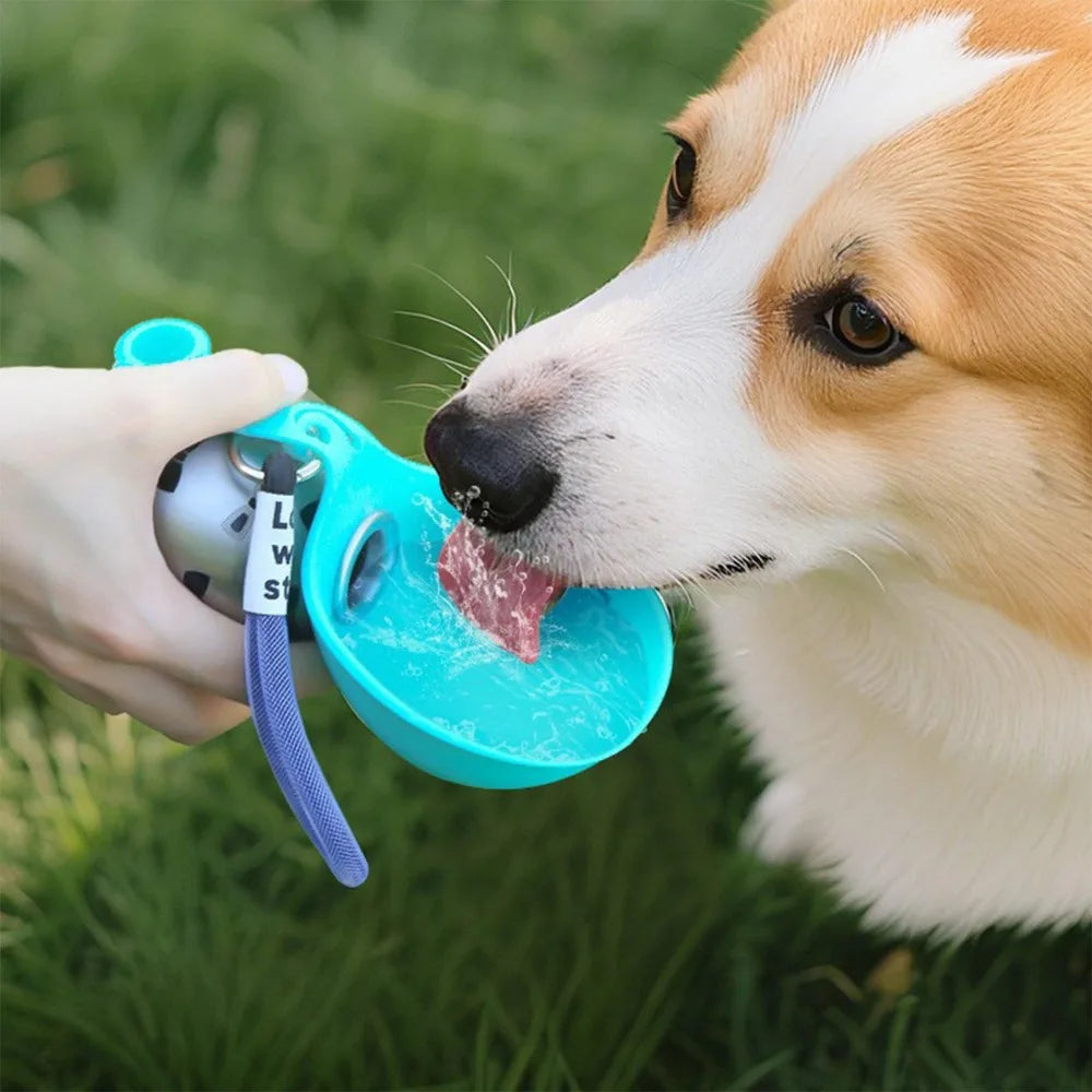 Dog Water Bottle for Walks – 285ml Stainless Steel with Silicone Bowl, Leak-Proof