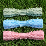 Toothbrush Toy